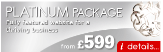 Platinum Web Design Package